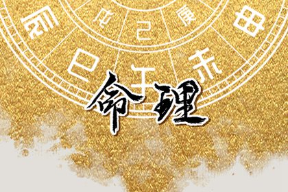 紫微十四主星详解|命盘四柱查询|命盘十二宫查询|查询十二宫位|紫微星占卜