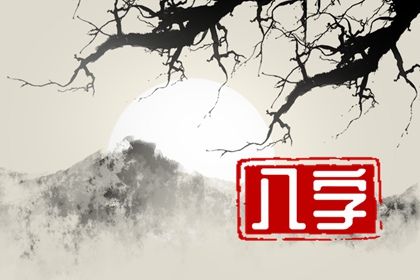 排盘报告阅读顺序