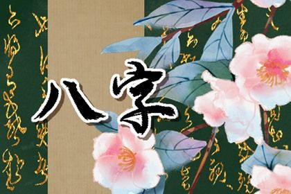 在线排盘的便利与边界