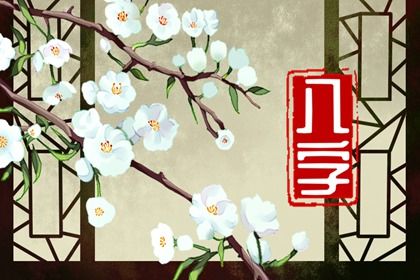 四柱结构：年月日时的分工