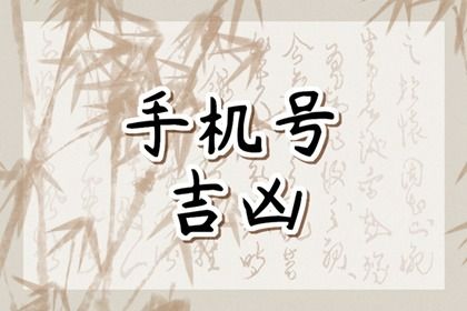 如何读本页结果
