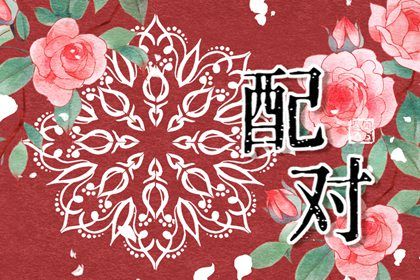 测紫薇命盘详解 解析命盘 命免费紫薇排盘