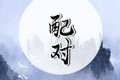 现代婚恋中的合婚角色