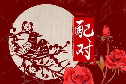 分数不高时的相处策略