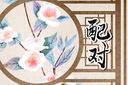 星座配对（民俗参考）