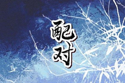 纳音配对：比和、相生与平衡