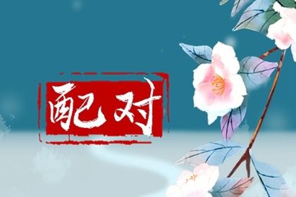 十二生姻缘配对 真实测姻缘 缘分缘份 算婚姻姻缘 婚姻生肖配对