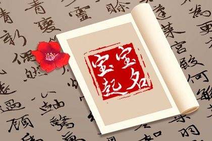 起名在做什么?