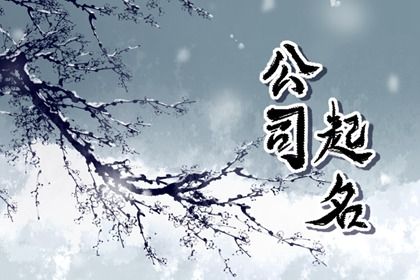 命盘排盘免费 紫薇星命盘解读 新浪命盘查询免费