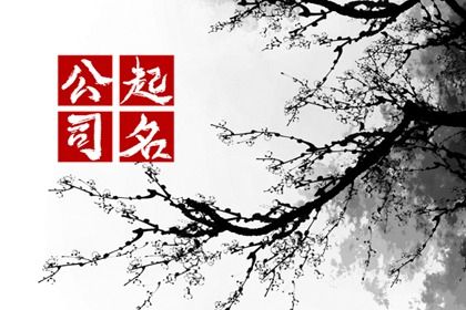 周易起名打分,取名字周易取名,周易取名,智能周易取名